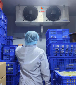 BẢO TRÌ SỬA CHỮA KHO ĐÔNG, KHO LẠNH TẠI ĐỨC HÒA