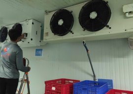 BẢO TRÌ SỬA CHỮA KHO ĐÔNG, KHO LẠNH