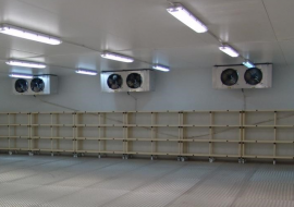 THU MUA KHO ĐÔNG, KHO LẠNH GIÁ CAO TẬN NƠI