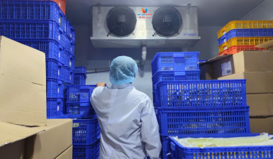 BẢO TRÌ SỬA CHỮA KHO ĐÔNG, KHO LẠNH TẠI ĐỨC HÒA