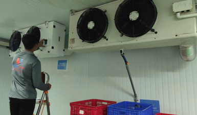 BẢO TRÌ SỬA CHỮA KHO ĐÔNG, KHO LẠNH