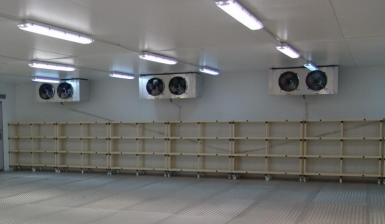 THU MUA KHO ĐÔNG, KHO LẠNH GIÁ CAO TẬN NƠI