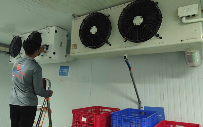 Bảo trì kho đông, kho lạnh uy tín